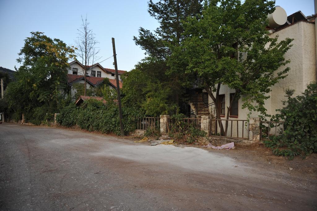 Olympos Koyevi Countryhouse Εξωτερικό φωτογραφία