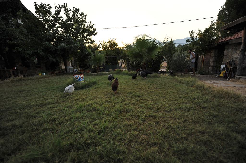 Olympos Koyevi Countryhouse Εξωτερικό φωτογραφία